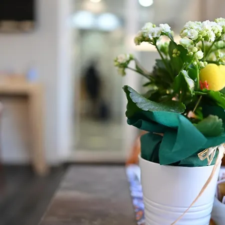 Bed & Breakfast Regina Margherita Naples